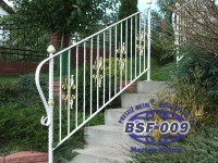 bsf-009