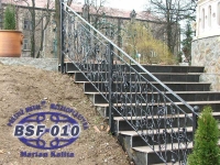 bsf-010